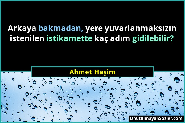 Ahmet Haşim - Arkaya bakmadan, yere yuvarlanmaksızın istenilen istikamette kaç adım gidilebilir?...