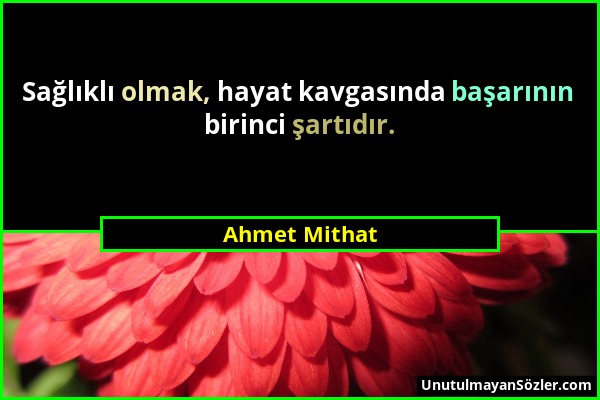 Ahmet Mithat - Sağlıklı olmak, hayat kavgasında başarının birinci şartıdır....