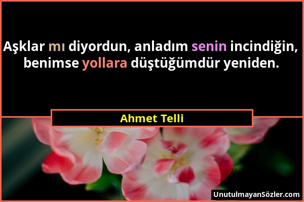 Ahmet Telli - Aşklar mı diyordun, anladım senin incindiğin, benimse yollara düştüğümdür yeniden....