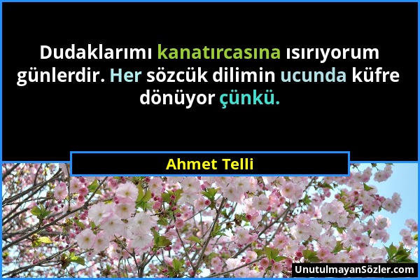 Ahmet Telli - Dudaklarımı kanatırcasına ısırıyorum günlerdir. Her sözcük dilimin ucunda küfre dönüyor çünkü....