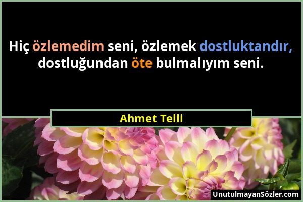 Ahmet Telli - Hiç özlemedim seni, özlemek dostluktandır, dostluğundan öte bulmalıyım seni....