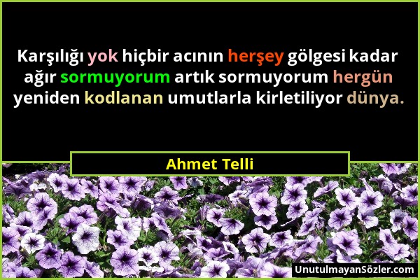 Ahmet Telli - Karşılığı yok hiçbir acının herşey gölgesi kadar ağır sormuyorum artık sormuyorum hergün yeniden kodlanan umutlarla kirletiliyor dünya....