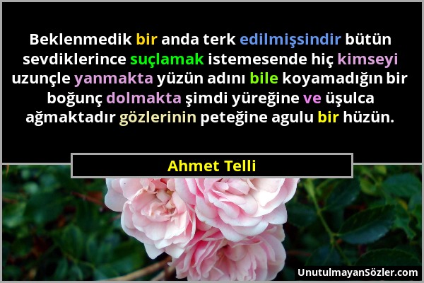 Ahmet Telli - Beklenmedik bir anda terk edilmişsindir bütün sevdiklerince suçlamak istemesende hiç kimseyi uzunçle yanmakta yüzün adını bile koyamadığ...