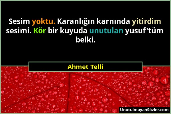 Ahmet Telli - Sesim yoktu. Karanlığın karnında yitirdim sesimi. Kör bir kuyuda unutulan yusuf'tüm belki....