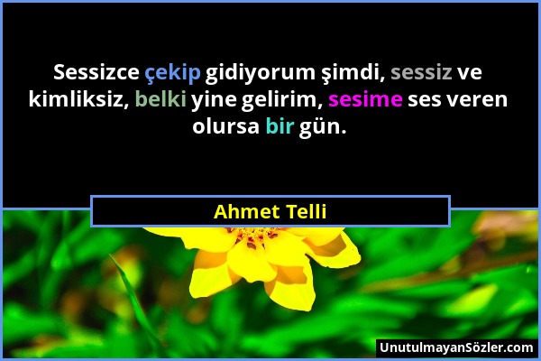 Ahmet Telli - Sessizce çekip gidiyorum şimdi, sessiz ve kimliksiz, belki yine gelirim, sesime ses veren olursa bir gün....