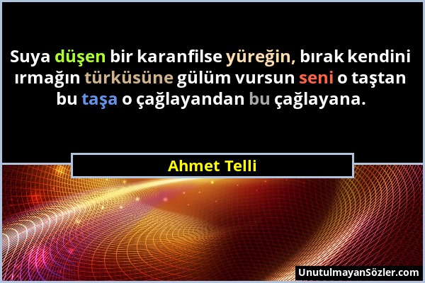 Ahmet Telli - Suya düşen bir karanfilse yüreğin, bırak kendini ırmağın türküsüne gülüm vursun seni o taştan bu taşa o çağlayandan bu çağlayana....