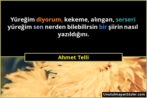 Ahmet Telli - Yüreğim diyorum, kekeme, alıngan, serseri yüreğim sen nerden bilebilirsin bir şiirin nasıl yazıldığını....