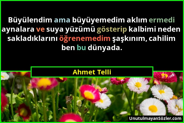 Ahmet Telli - Büyülendim ama büyüyemedim aklım ermedi aynalara ve suya yüzümü gösterip kalbimi neden sakladıklarını öğrenemedim şaşkınım, cahilim ben...