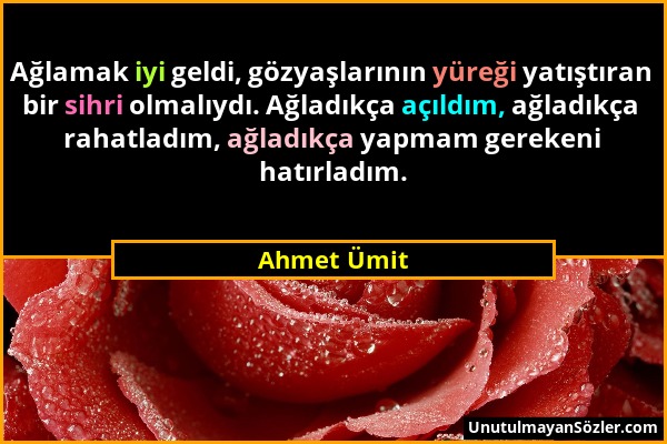 Ahmet Ümit - Ağlamak iyi geldi, gözyaşlarının yüreği yatıştıran bir sihri olmalıydı. Ağladıkça açıldım, ağladıkça rahatladım, ağladıkça yapmam gereken...