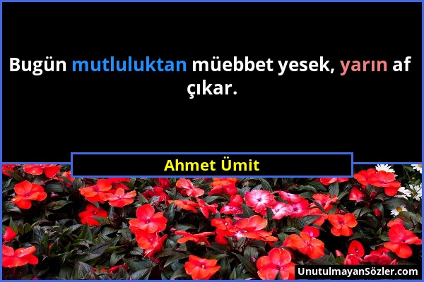 Ahmet Ümit - Bugün mutluluktan müebbet yesek, yarın af çıkar....