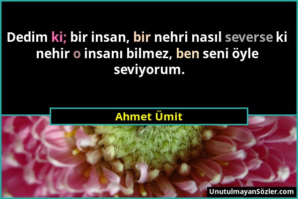 Ahmet Ümit - Dedim ki; bir insan, bir nehri nasıl severse ki nehir o insanı bilmez, ben seni öyle seviyorum....