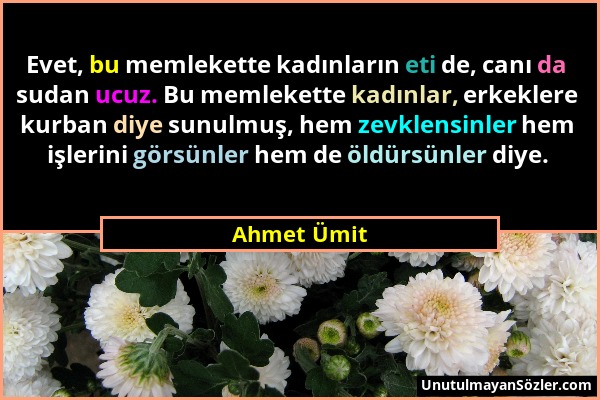 Ahmet Ümit - Evet, bu memlekette kadınların eti de, canı da sudan ucuz. Bu memlekette kadınlar, erkeklere kurban diye sunulmuş, hem zevklensinler hem...