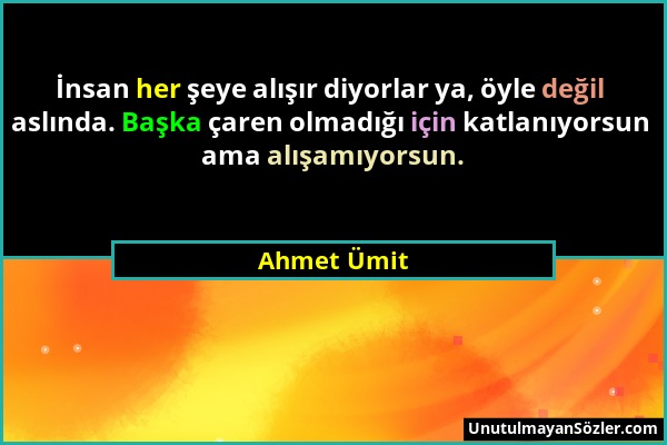 Ahmet Ümit - İnsan her şeye alışır diyorlar ya, öyle değil aslında. Başka çaren olmadığı için katlanıyorsun ama alışamıyorsun....