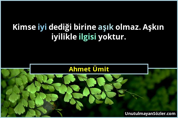 Ahmet Ümit - Kimse iyi dediği birine aşık olmaz. Aşkın iyilikle ilgisi yoktur....