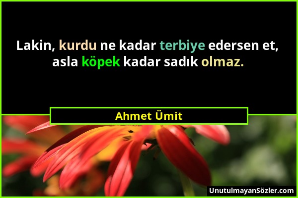 Ahmet Ümit - Lakin, kurdu ne kadar terbiye edersen et, asla köpek kadar sadık olmaz....