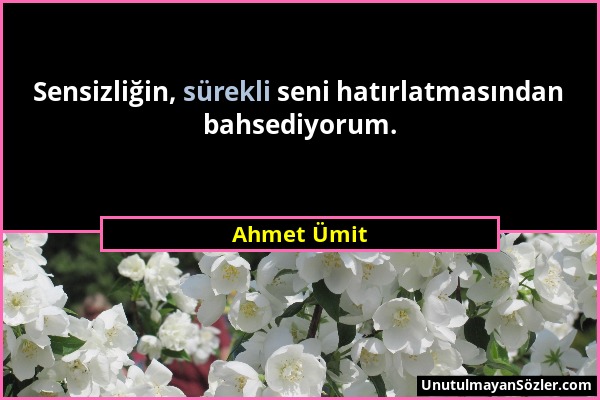 Ahmet Ümit - Sensizliğin, sürekli seni hatırlatmasından bahsediyorum....