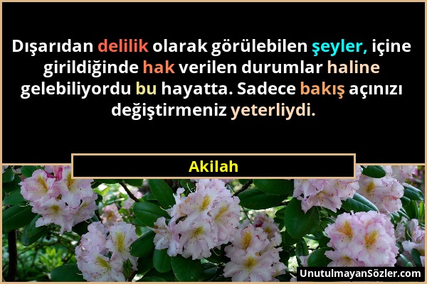 Akilah - Dışarıdan delilik olarak görülebilen şeyler, içine girildiğinde hak verilen durumlar haline gelebiliyordu bu hayatta. Sadece bakış açınızı de...