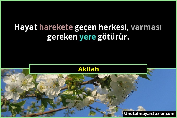 Akilah - Hayat harekete geçen herkesi, varması gereken yere götürür....