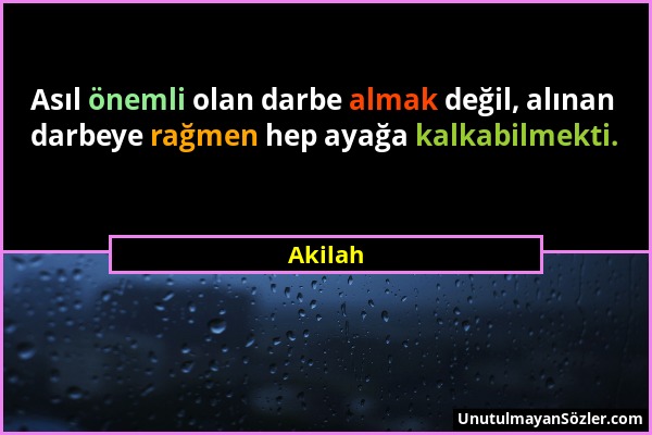 Akilah - Asıl önemli olan darbe almak değil, alınan darbeye rağmen hep ayağa kalkabilmekti....