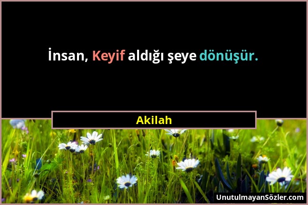 Akilah - İnsan, Keyif aldığı şeye dönüşür....