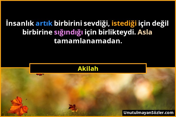 Akilah - İnsanlık artık birbirini sevdiği, istediği için değil birbirine sığındığı için birlikteydi. Asla tamamlanamadan....