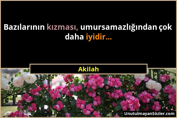 Akilah - Bazılarının kızması, umursamazlığından çok daha iyidir......