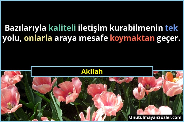 Akilah - Bazılarıyla kaliteli iletişim kurabilmenin tek yolu, onlarla araya mesafe koymaktan geçer....