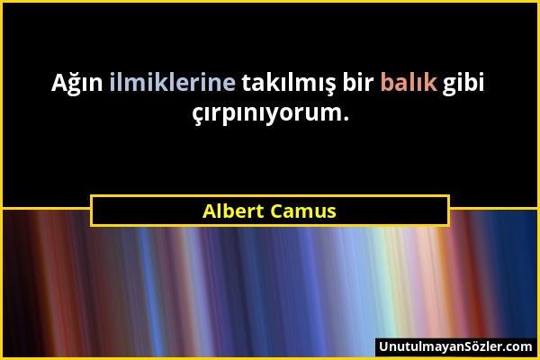 Albert Camus - Ağın ilmiklerine takılmış bir balık gibi çırpınıyorum....