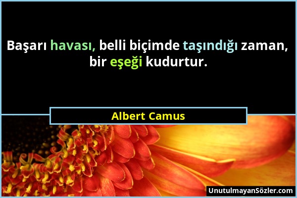 Albert Camus - Başarı havası, belli biçimde taşındığı zaman, bir eşeği kudurtur....