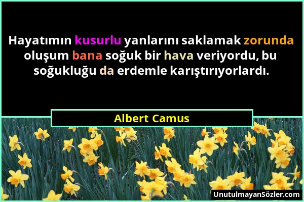 Albert Camus - Hayatımın kusurlu yanlarını saklamak zorunda oluşum bana soğuk bir hava veriyordu, bu soğukluğu da erdemle karıştırıyorlardı....