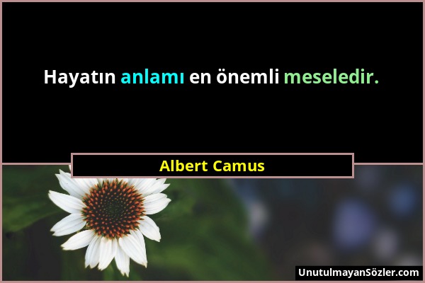 Albert Camus - Hayatın anlamı en önemli meseledir....