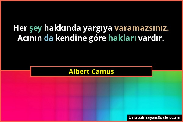 Albert Camus - Her şey hakkında yargıya varamazsınız. Acının da kendine göre hakları vardır....