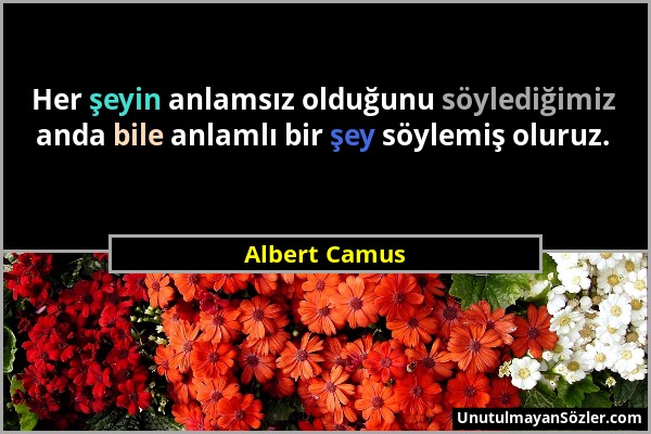 Albert Camus - Her şeyin anlamsız olduğunu söylediğimiz anda bile anlamlı bir şey söylemiş oluruz....