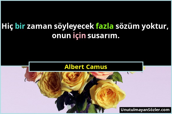 Albert Camus - Hiç bir zaman söyleyecek fazla sözüm yoktur, onun için susarım....