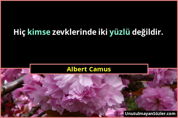 Albert Camus - Hiç kimse zevklerinde iki yüzlü değildir....