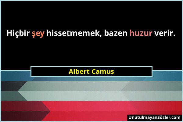 Albert Camus - Hiçbir şey hissetmemek, bazen huzur verir....