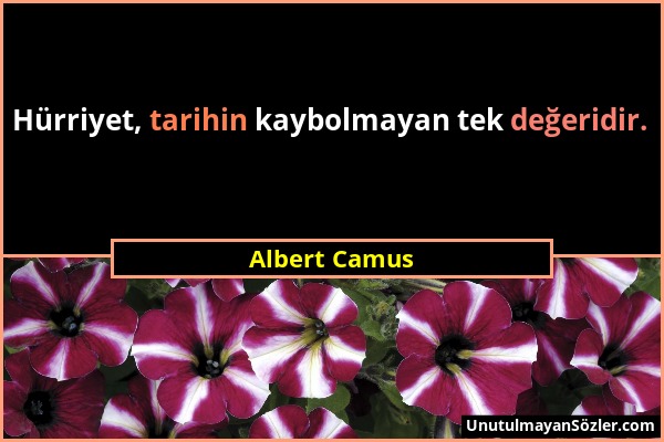 Albert Camus - Hürriyet, tarihin kaybolmayan tek değeridir....