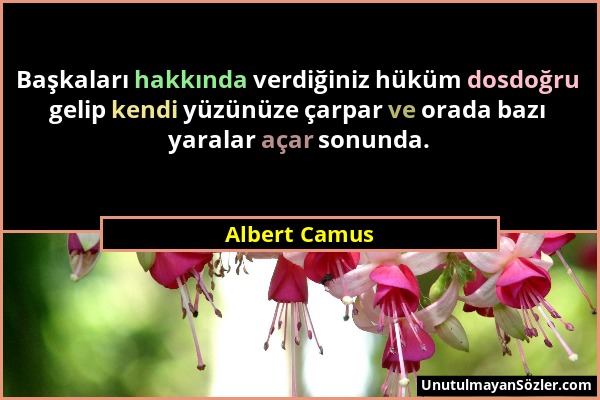 Albert Camus - Başkaları hakkında verdiğiniz hüküm dosdoğru gelip kendi yüzünüze çarpar ve orada bazı yaralar açar sonunda....