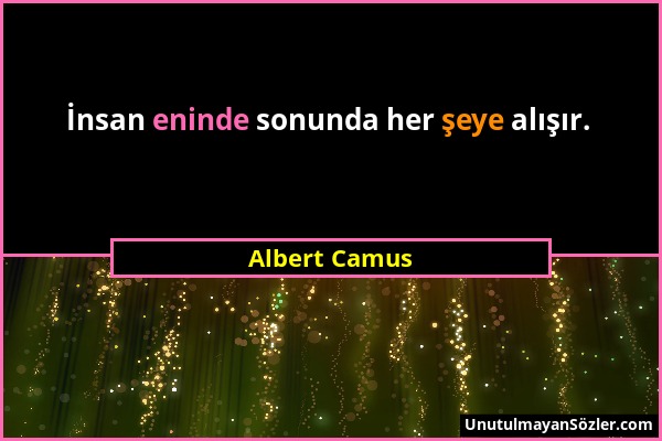 Albert Camus - İnsan eninde sonunda her şeye alışır....