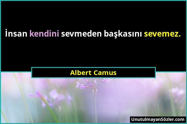 Albert Camus - İnsan kendini sevmeden başkasını sevemez....