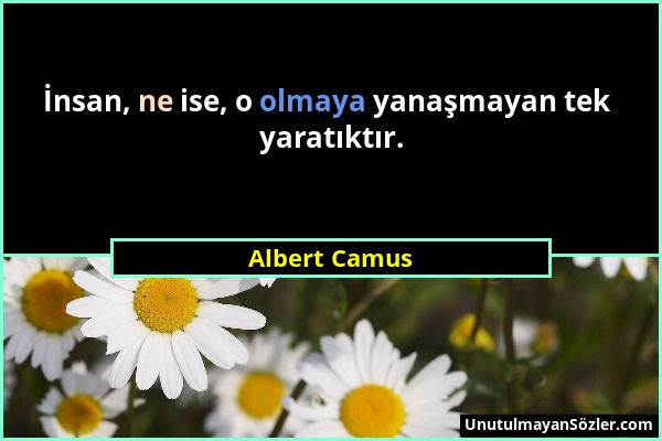 Albert Camus - İnsan, ne ise, o olmaya yanaşmayan tek yaratıktır....
