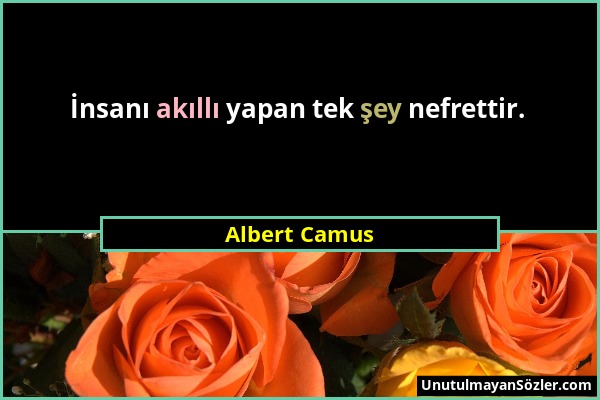 Albert Camus - İnsanı akıllı yapan tek şey nefrettir....