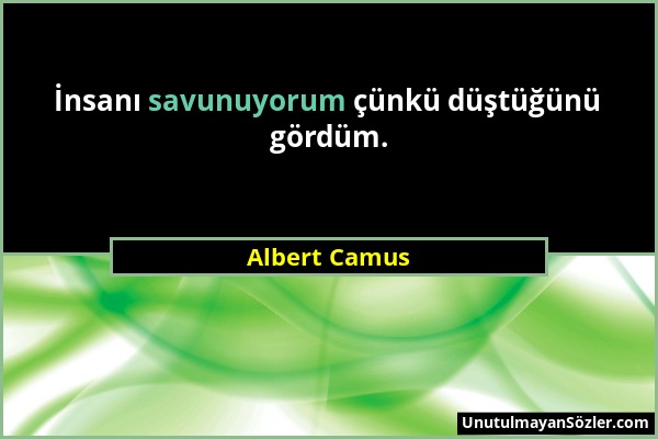 Albert Camus - İnsanı savunuyorum çünkü düştüğünü gördüm....