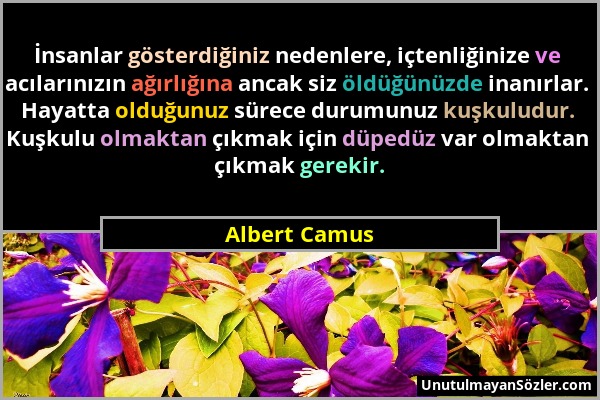 Albert Camus - İnsanlar gösterdiğiniz nedenlere, içtenliğinize ve acılarınızın ağırlığına ancak siz öldüğünüzde inanırlar. Hayatta olduğunuz sürece du...