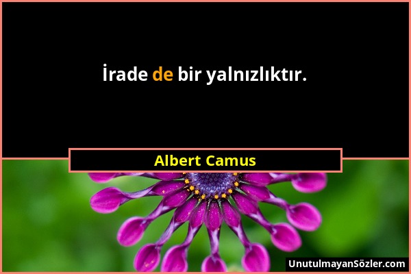 Albert Camus - İrade de bir yalnızlıktır....