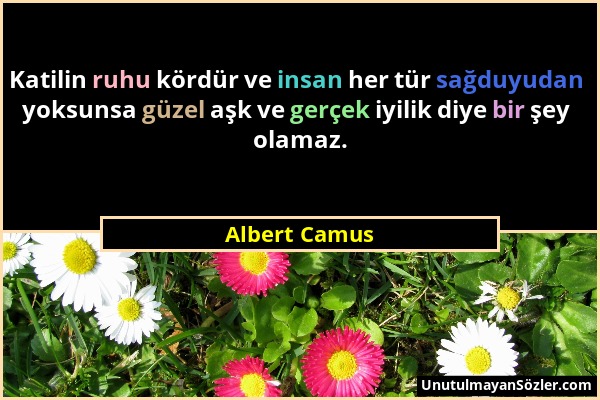 Albert Camus - Katilin ruhu kördür ve insan her tür sağduyudan yoksunsa güzel aşk ve gerçek iyilik diye bir şey olamaz....