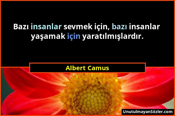 Albert Camus - Bazı insanlar sevmek için, bazı insanlar yaşamak için yaratılmışlardır....