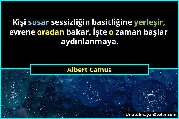 Albert Camus - Kişi susar sessizliğin basitliğine yerleşir, evrene oradan bakar. İşte o zaman başlar aydınlanmaya....