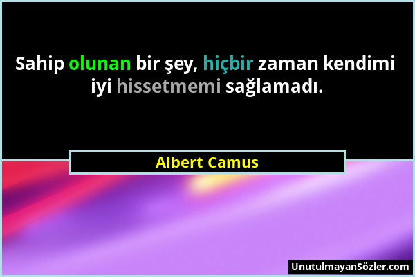 Albert Camus - Sahip olunan bir şey, hiçbir zaman kendimi iyi hissetmemi sağlamadı....