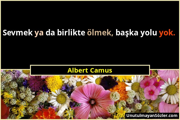 Albert Camus - Sevmek ya da birlikte ölmek, başka yolu yok....